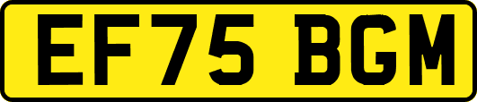 EF75BGM