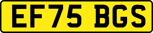 EF75BGS