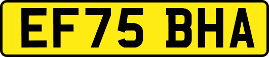 EF75BHA