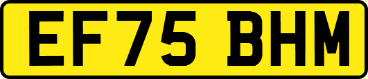 EF75BHM