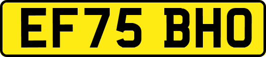 EF75BHO