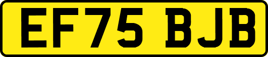 EF75BJB