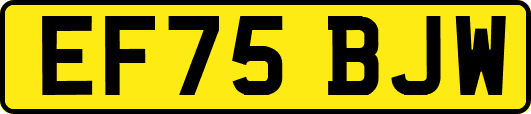 EF75BJW