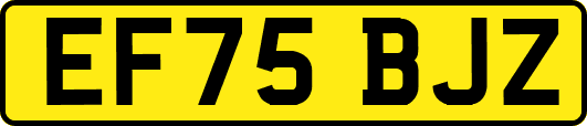EF75BJZ