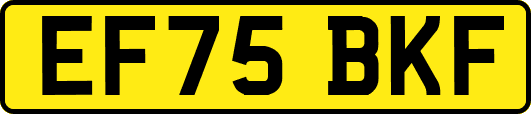 EF75BKF
