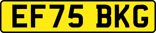 EF75BKG