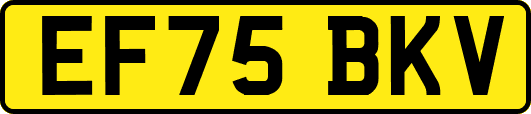 EF75BKV