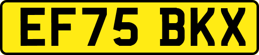 EF75BKX