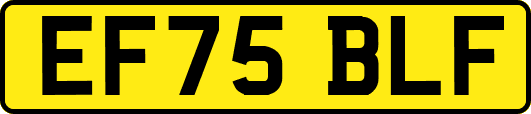 EF75BLF