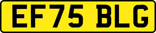 EF75BLG