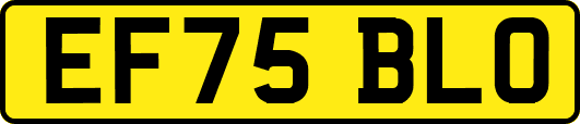 EF75BLO