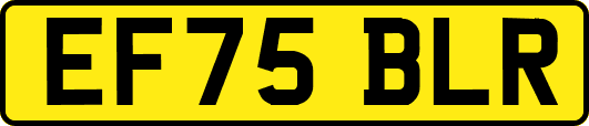 EF75BLR