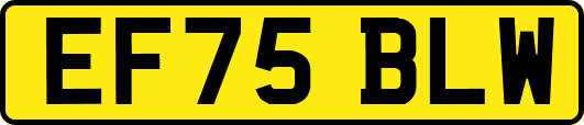 EF75BLW
