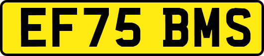 EF75BMS