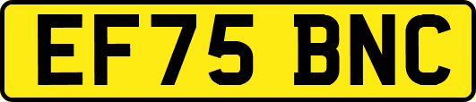 EF75BNC