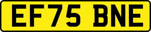 EF75BNE