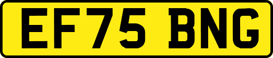 EF75BNG