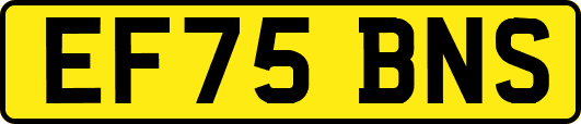 EF75BNS