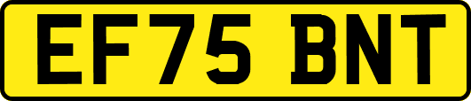 EF75BNT