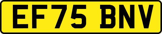 EF75BNV