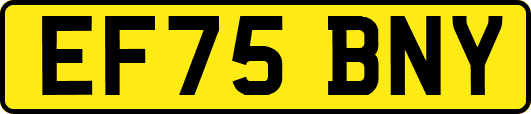 EF75BNY