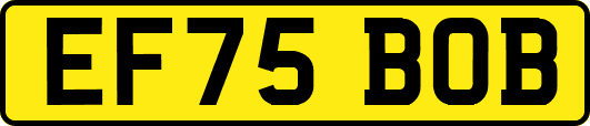 EF75BOB