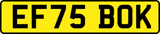 EF75BOK