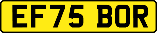 EF75BOR