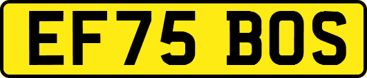 EF75BOS