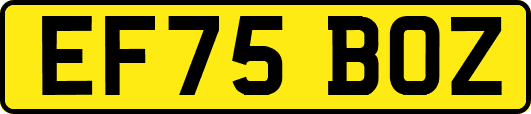 EF75BOZ