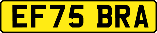 EF75BRA