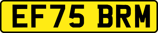 EF75BRM