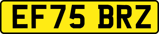 EF75BRZ