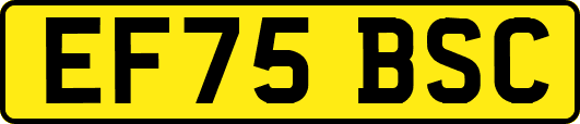 EF75BSC