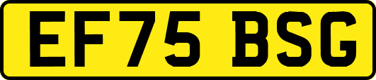 EF75BSG