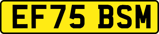 EF75BSM
