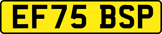 EF75BSP
