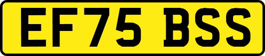 EF75BSS