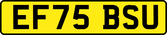 EF75BSU