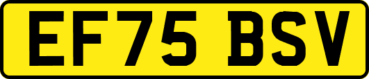 EF75BSV
