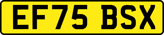 EF75BSX