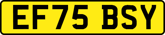 EF75BSY