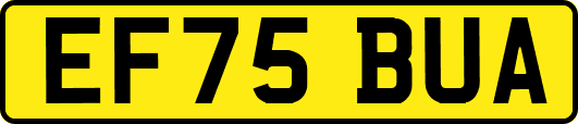 EF75BUA