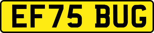 EF75BUG