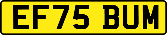 EF75BUM