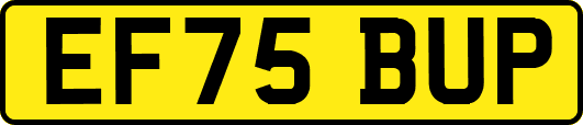EF75BUP