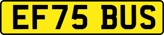 EF75BUS
