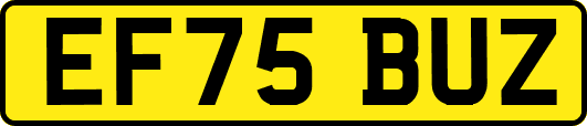 EF75BUZ