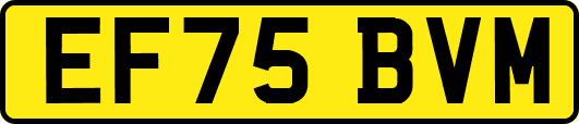 EF75BVM