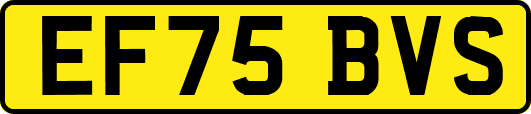 EF75BVS